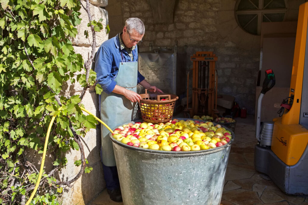 Äpfel aus dem Beuroner Klostergarten