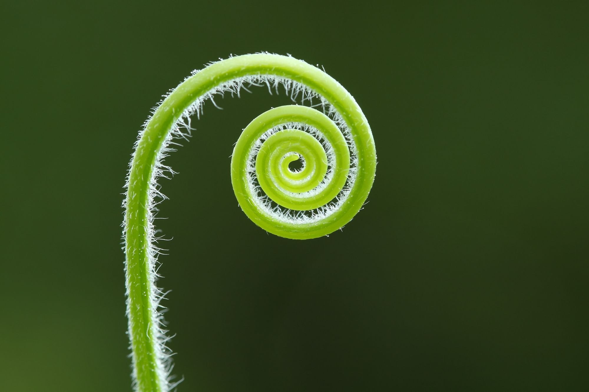 Feldenkrais Wochenendkurs